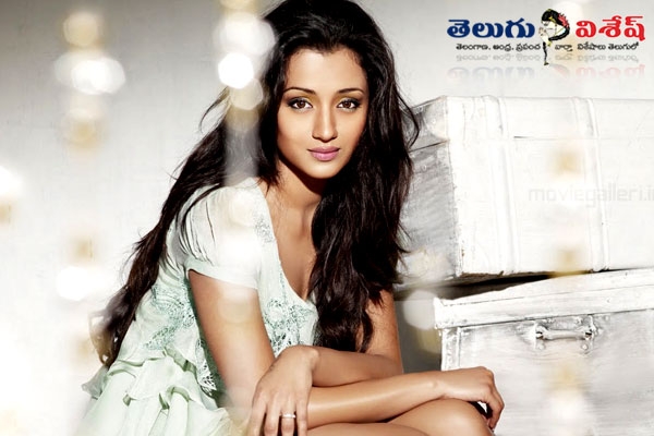 Trisha krishnan film career varun manian marriage news