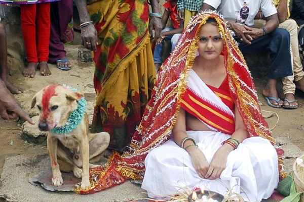 Blind believes india girl married with dog