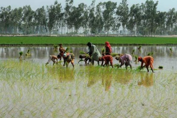 Farmer loan waiver directives ready in telangana