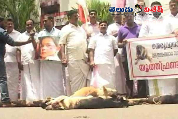 Congress rally Dogs